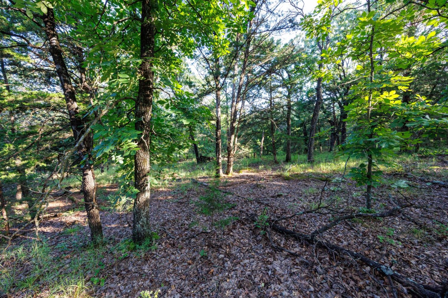 Land for Sale in Chautauqua County, KS (5 of 49)