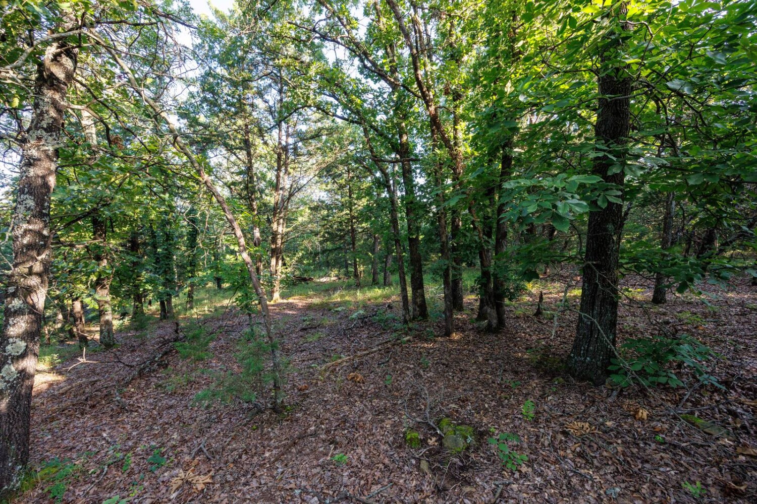 Land for Sale in Chautauqua County, KS (9 of 49)