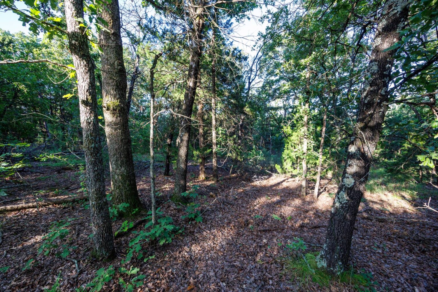 Land for Sale in Chautauqua County, KS (10 of 49)