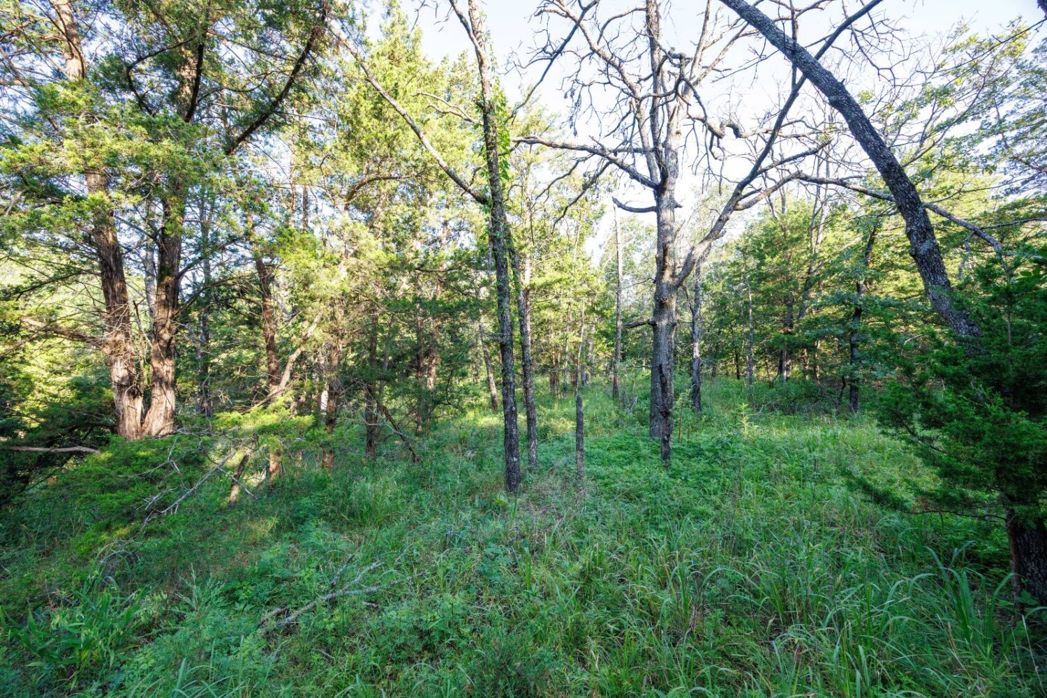 Land for Sale in Chautauqua County, KS (12 of 49)