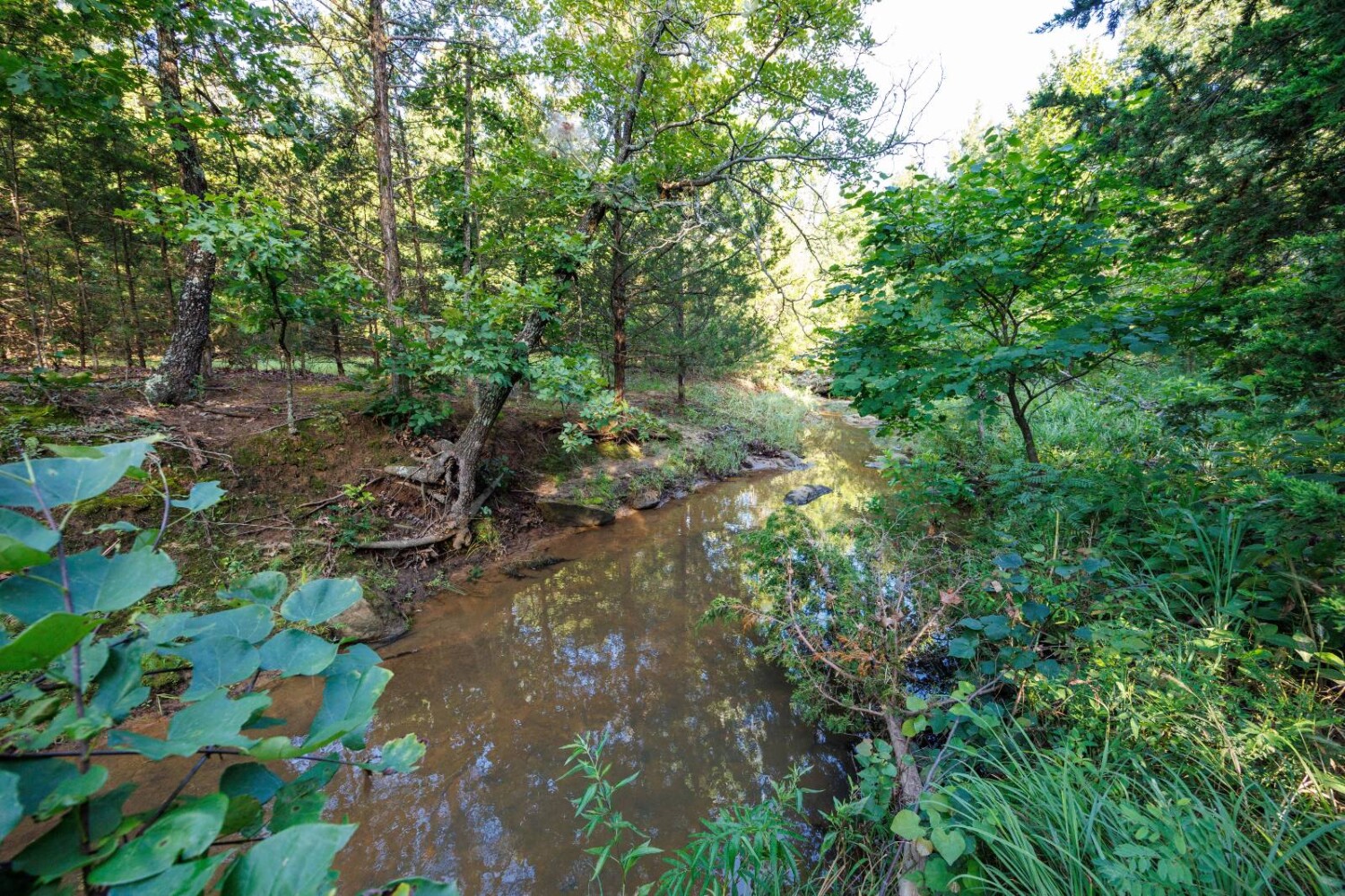 Land for Sale in Chautauqua County, KS (13 of 49)