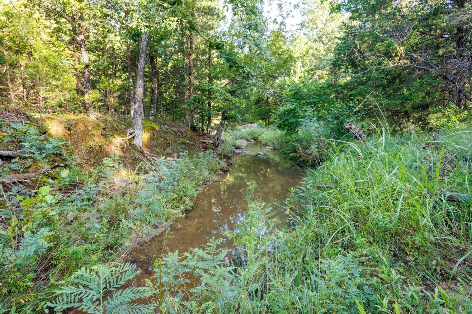 Land for Sale in Chautauqua County, KS (14 of 49)