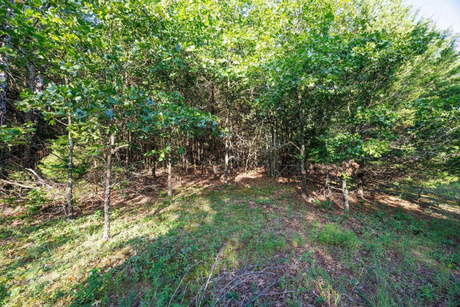 Land for Sale in Chautauqua County, KS (15 of 49)