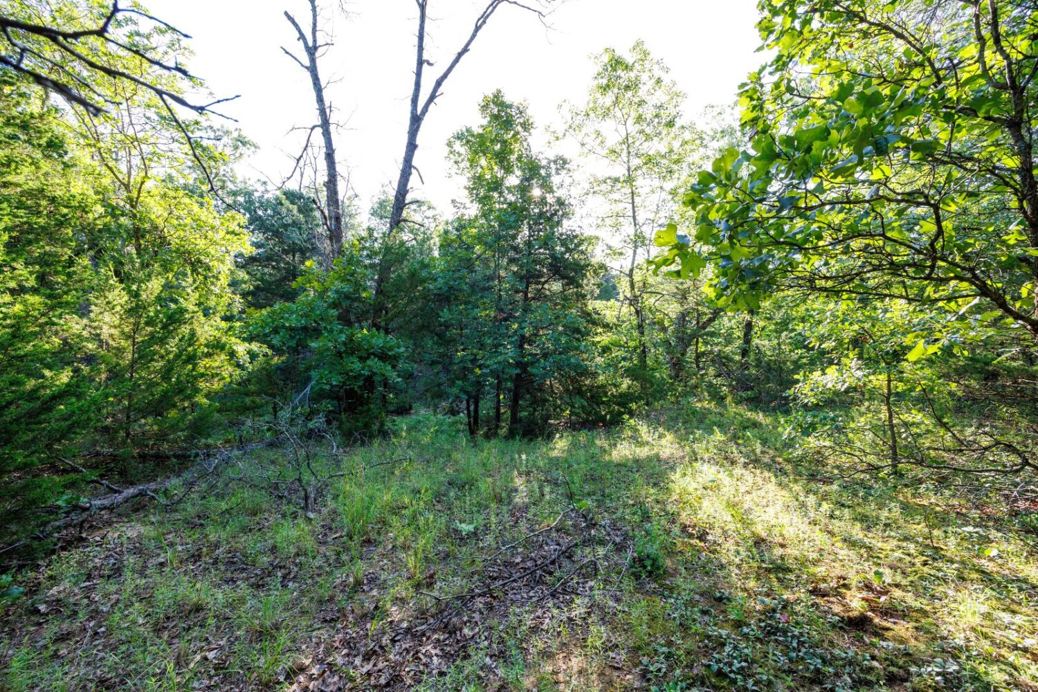Land for Sale in Chautauqua County, KS (17 of 49)