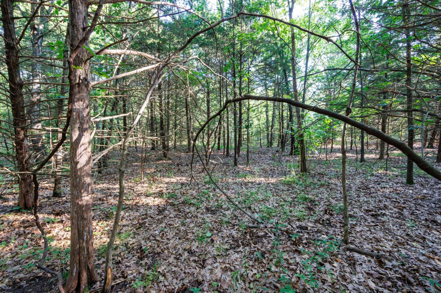 Land for Sale in Chautauqua County, KS (23 of 49)