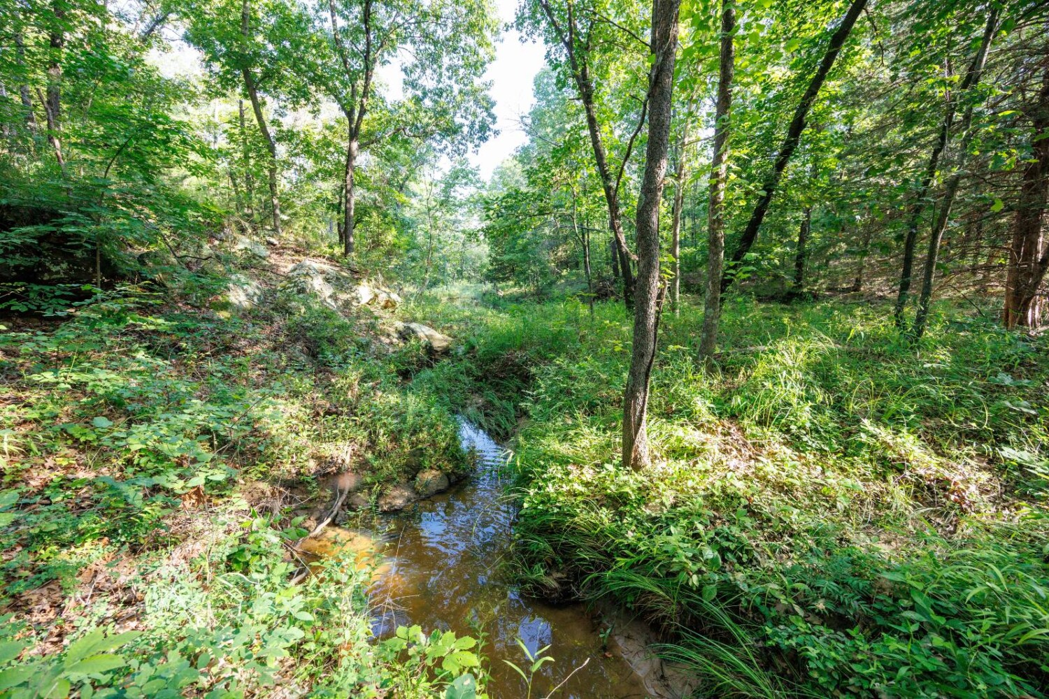 Land for Sale in Chautauqua County, KS (25 of 49)