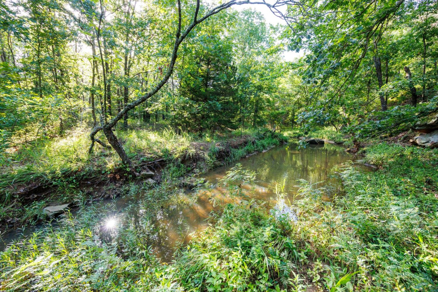 Land for Sale in Chautauqua County, KS (27 of 49)