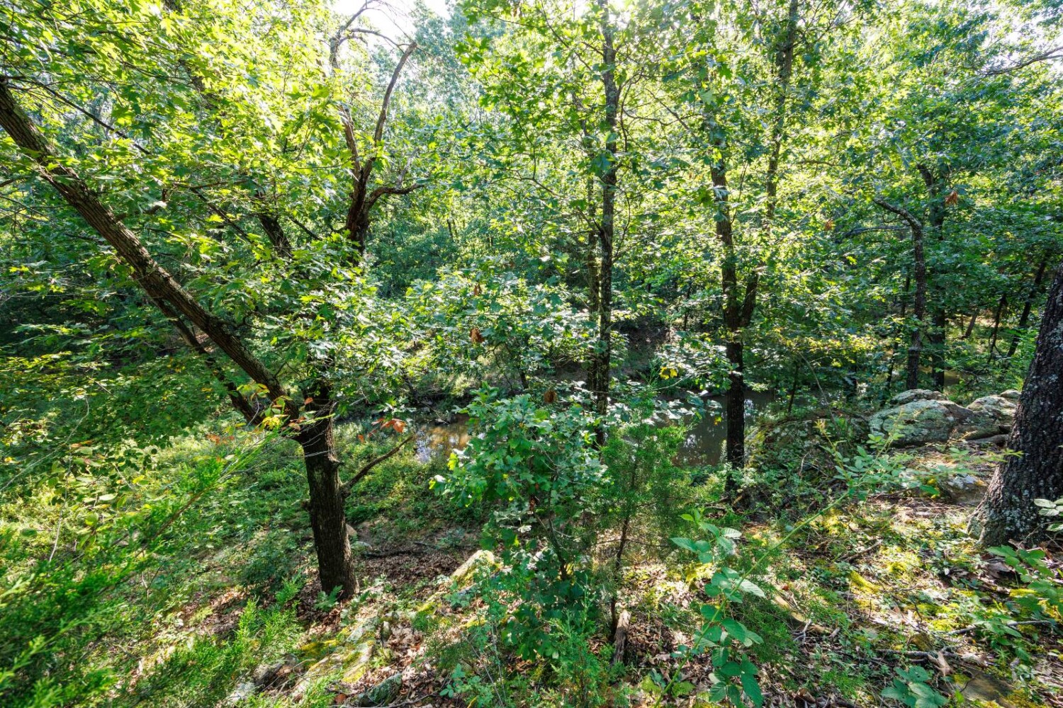 Land for Sale in Chautauqua County, KS (28 of 49)