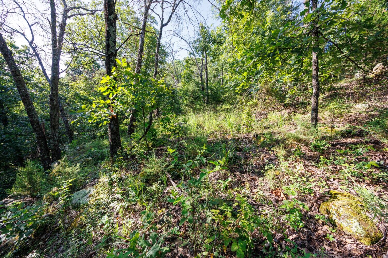 Land for Sale in Chautauqua County, KS (29 of 49)