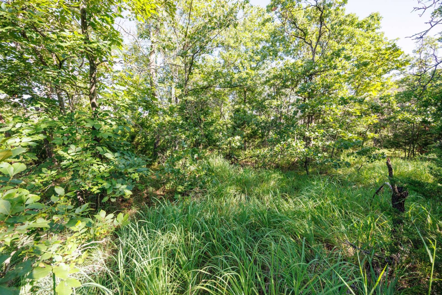 Land for Sale in Chautauqua County, KS (32 of 49)