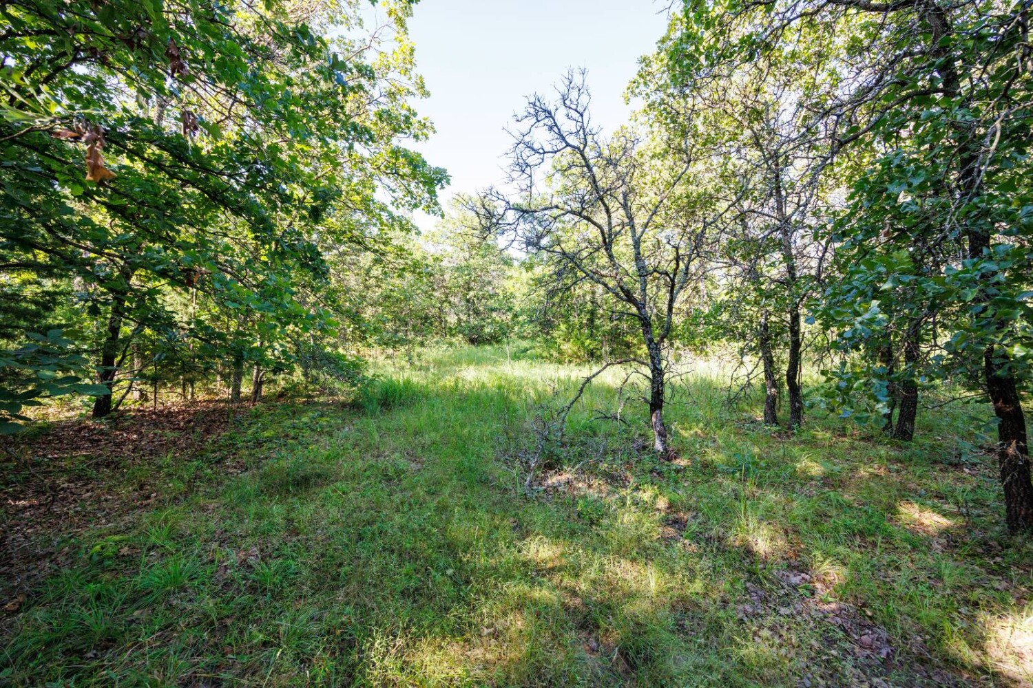 Land for Sale in Chautauqua County, KS (33 of 49)