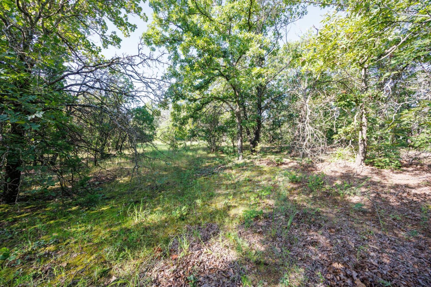 Land for Sale in Chautauqua County, KS (34 of 49)