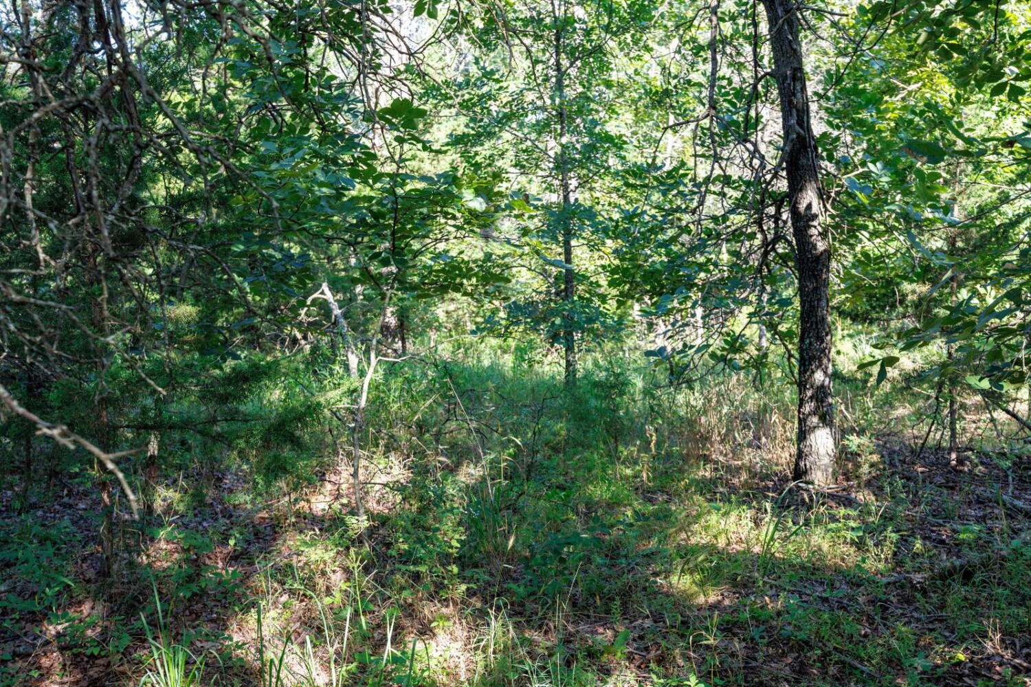 Land for Sale in Chautauqua County, KS (37 of 49)