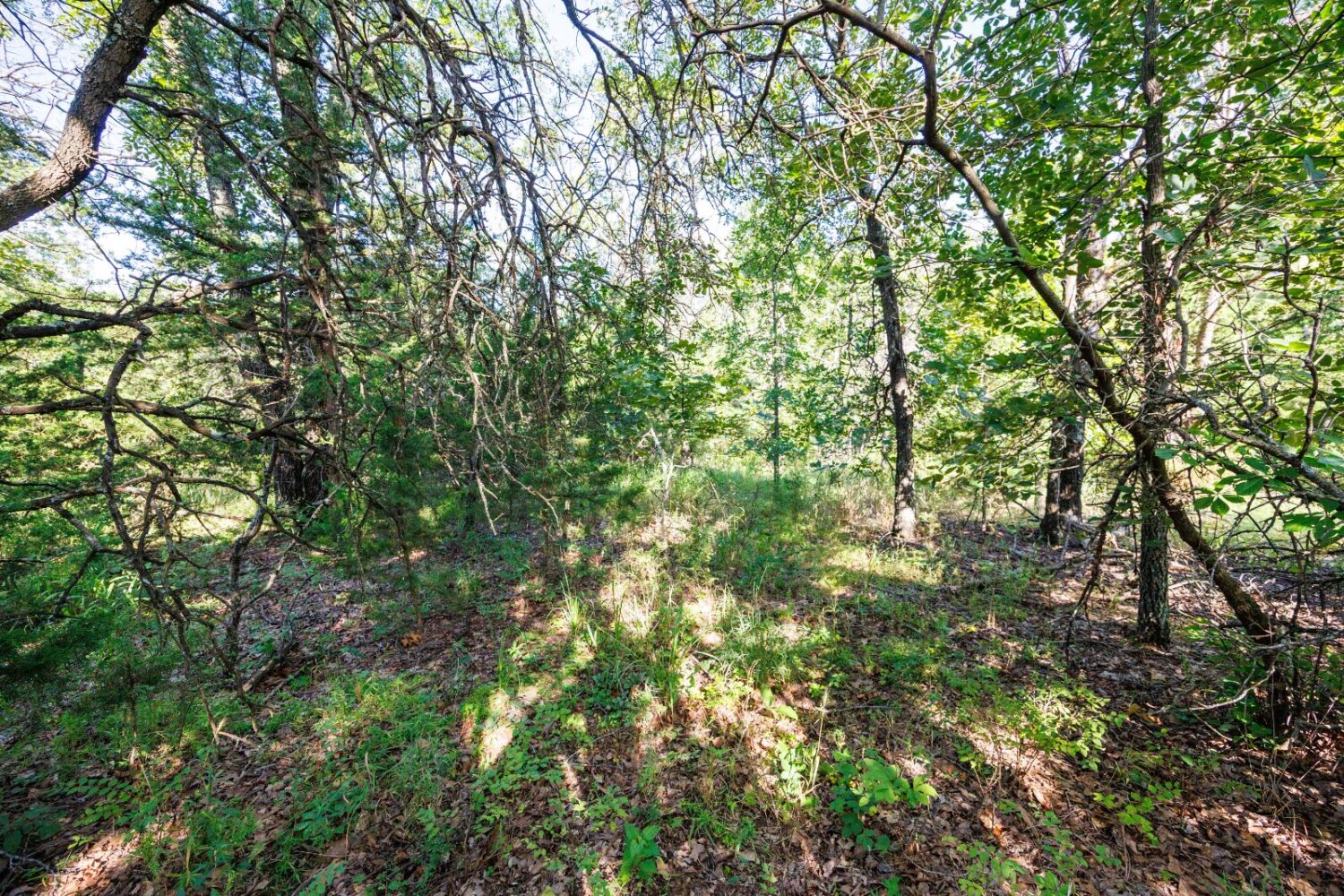 Land for Sale in Chautauqua County, KS (38 of 49)