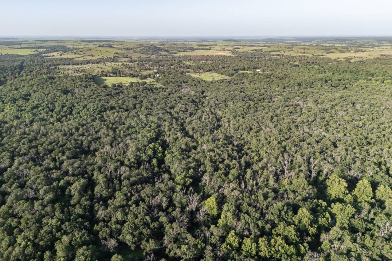Land for Sale in Chautauqua County, KS (40 of 49)