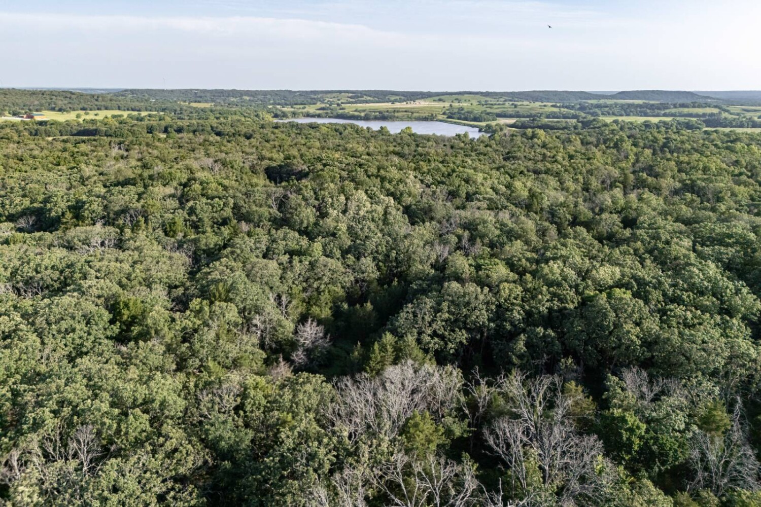 Land for Sale in Chautauqua County, KS (43 of 49)