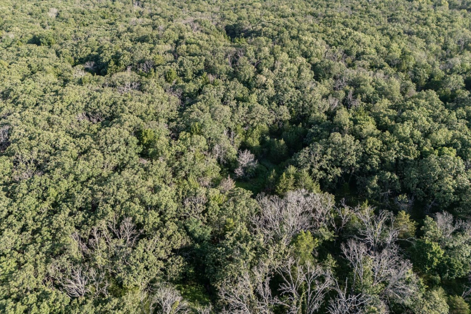 Land for Sale in Chautauqua County, KS (44 of 49)
