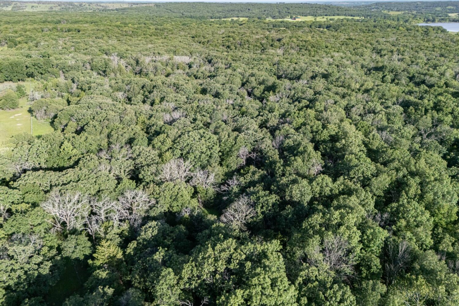 Land for Sale in Chautauqua County, KS (45 of 49)