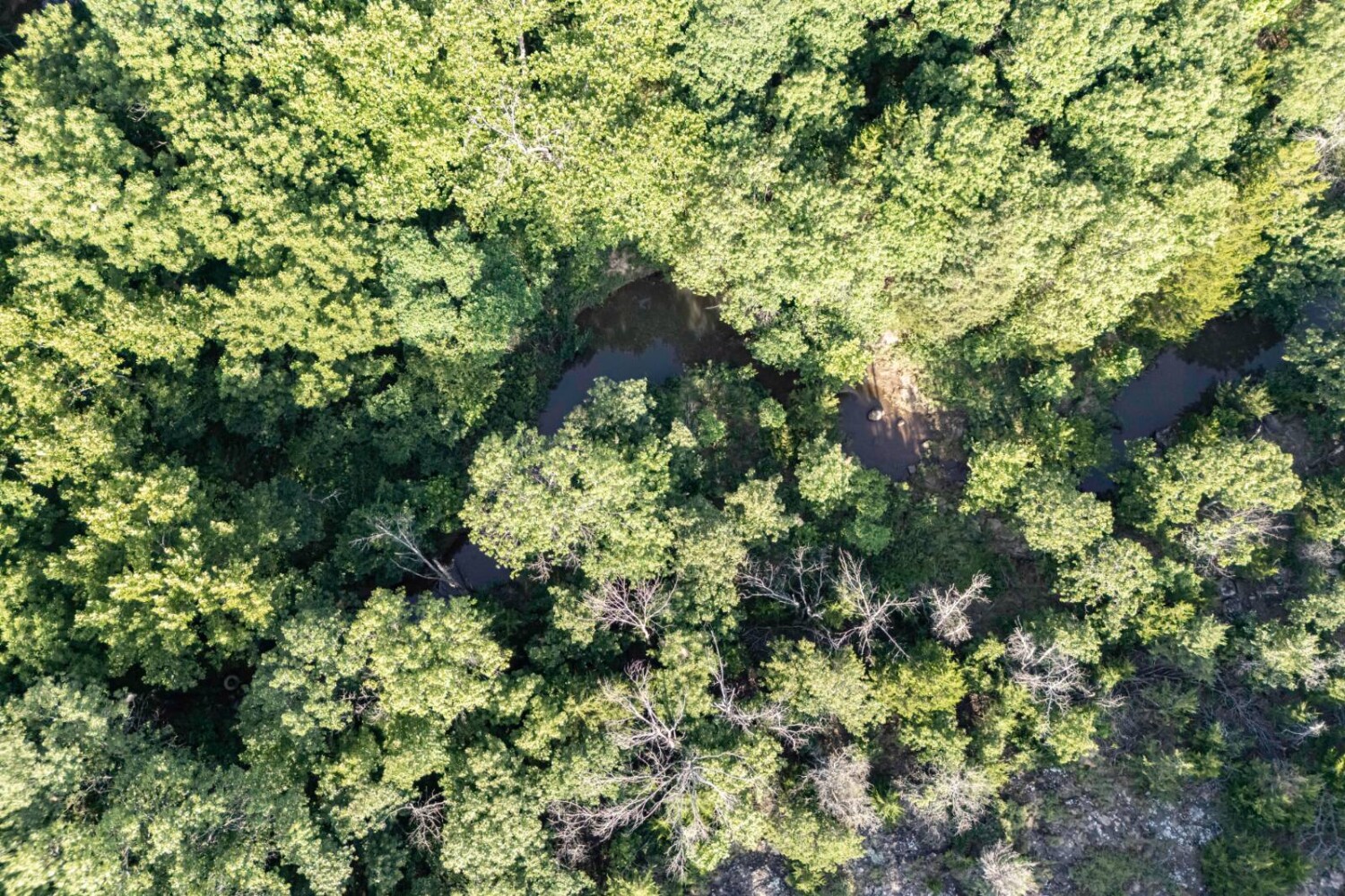 Land for Sale in Chautauqua County, KS (46 of 49)