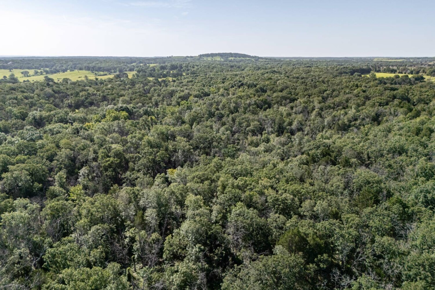 Land for Sale in Chautauqua County, KS (47 of 49)