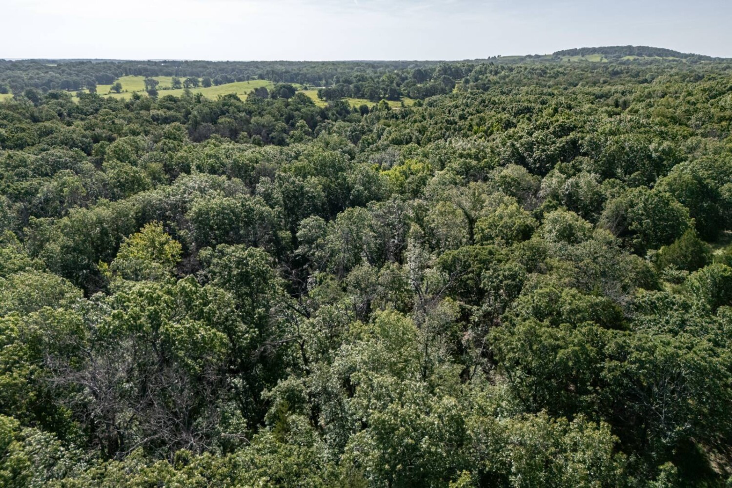 Land for Sale in Chautauqua County, KS (48 of 49)