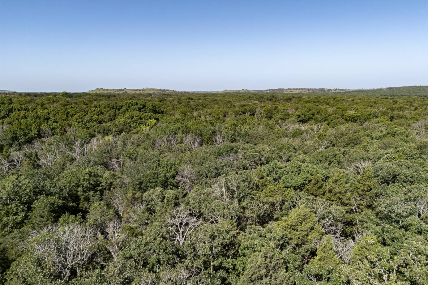 Land for Sale in Chautauqua County, KS (49 of 49)