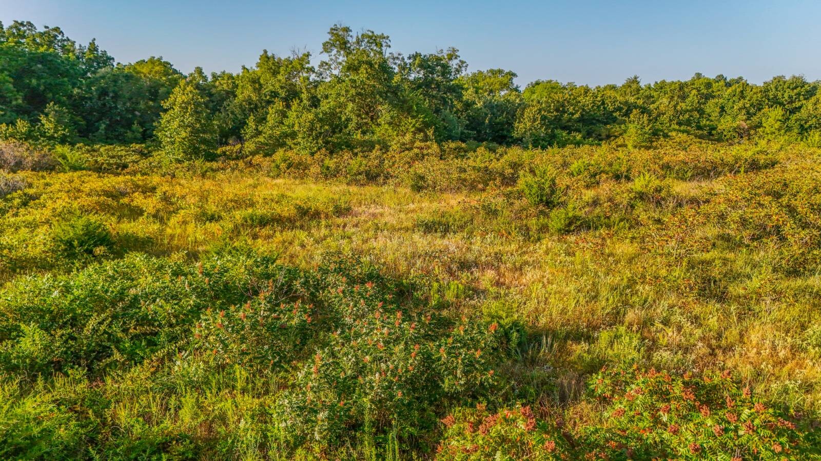 Land for Sale in Payne County, OK (6 of 18)
