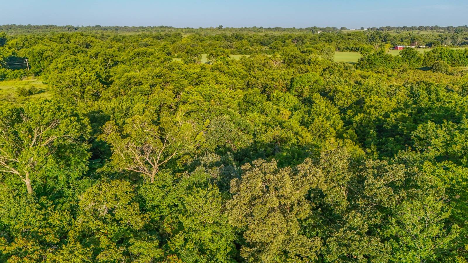 Land for Sale in Payne County, OK (9 of 18)