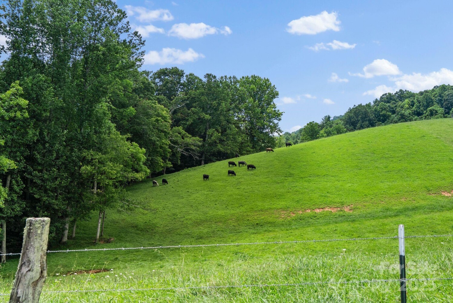 Land for Sale in Madison County, NC (32 of 48)