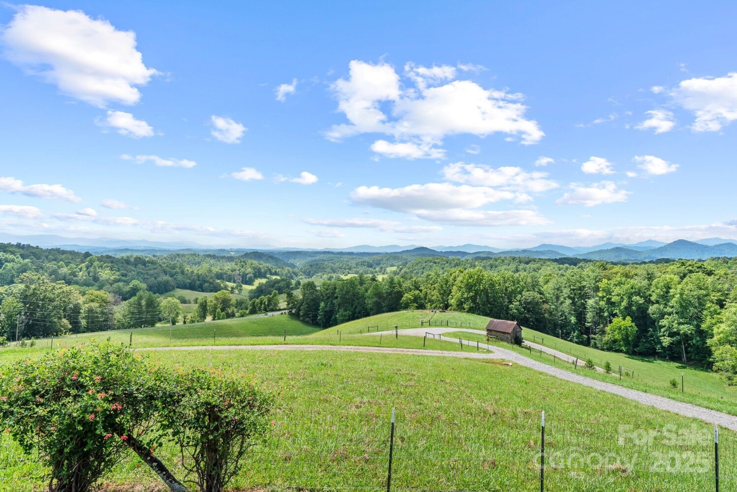 Land for Sale in Madison County, NC (45 of 48)