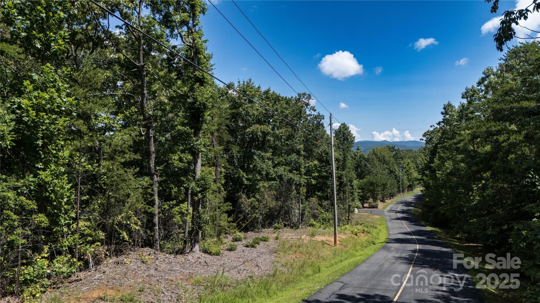 Land for Sale in Rutherford County, NC (4 of 29)