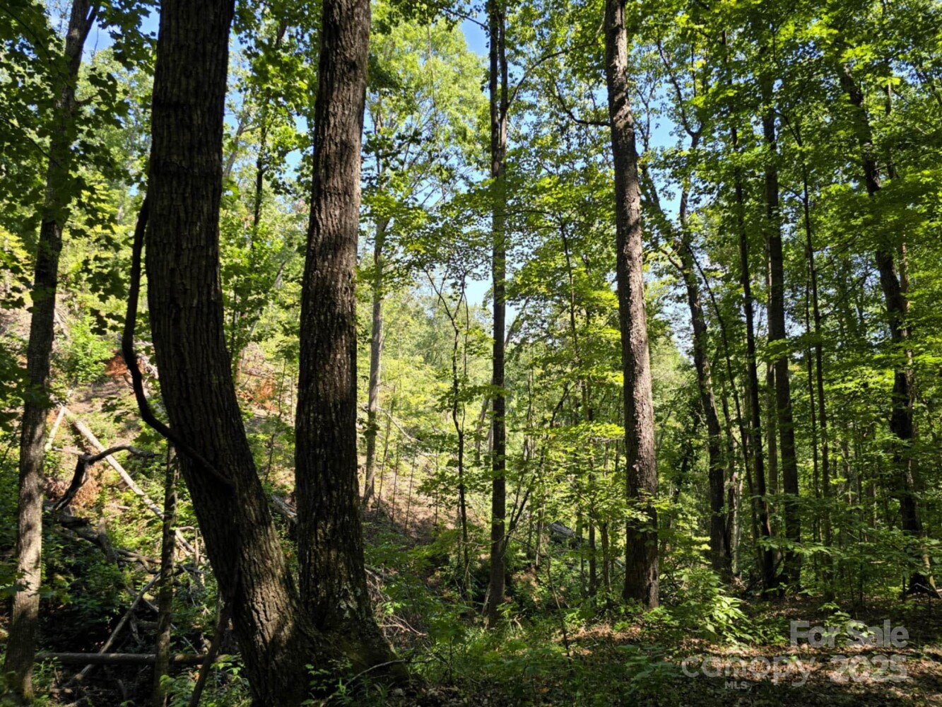 Land for Sale in Rutherford County, NC (10 of 29)