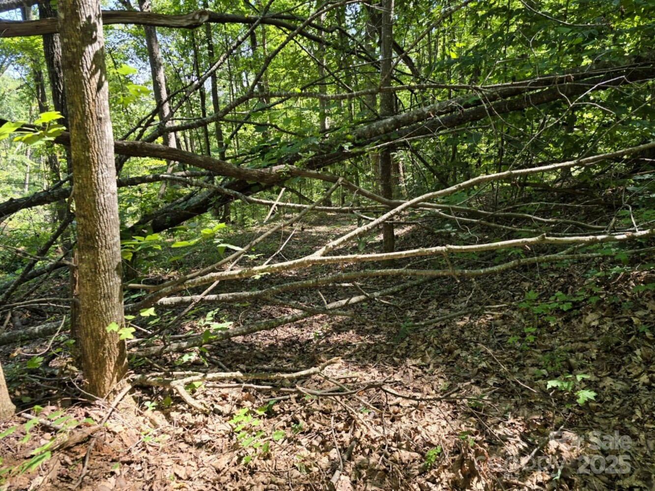 Land for Sale in Rutherford County, NC (11 of 29)