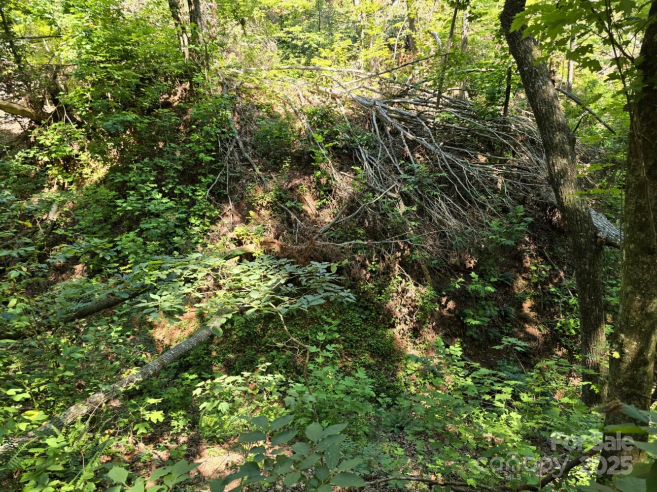Land for Sale in Rutherford County, NC (12 of 29)