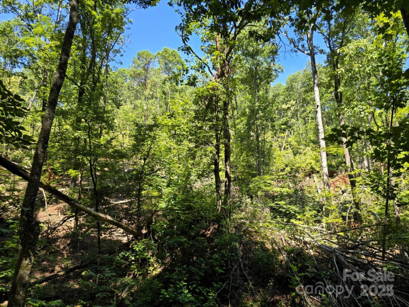 Land for Sale in Rutherford County, NC (15 of 29)
