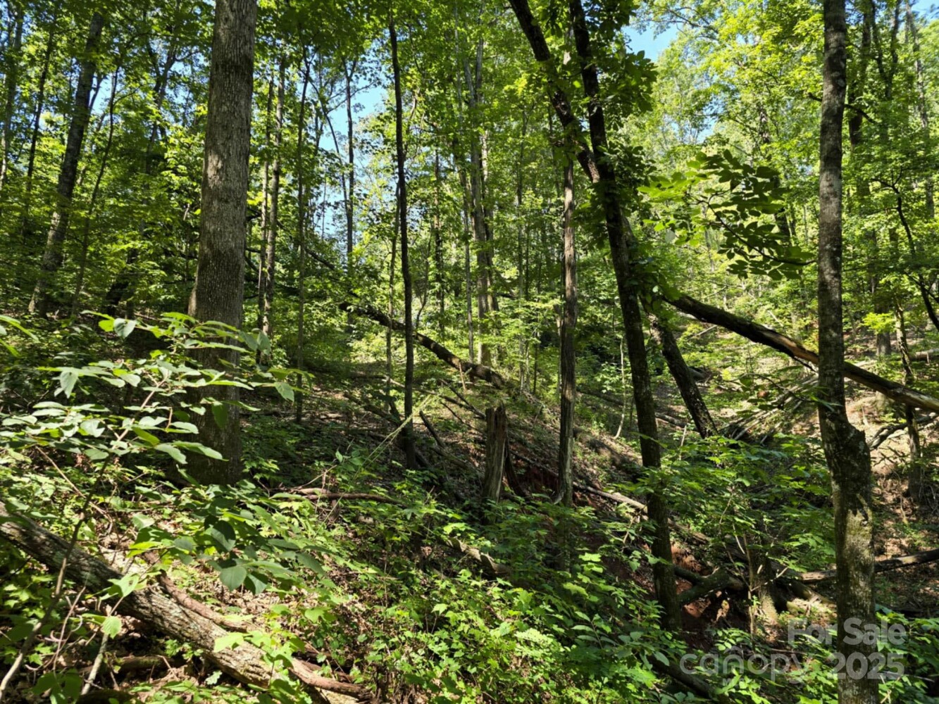 Land for Sale in Rutherford County, NC (16 of 29)