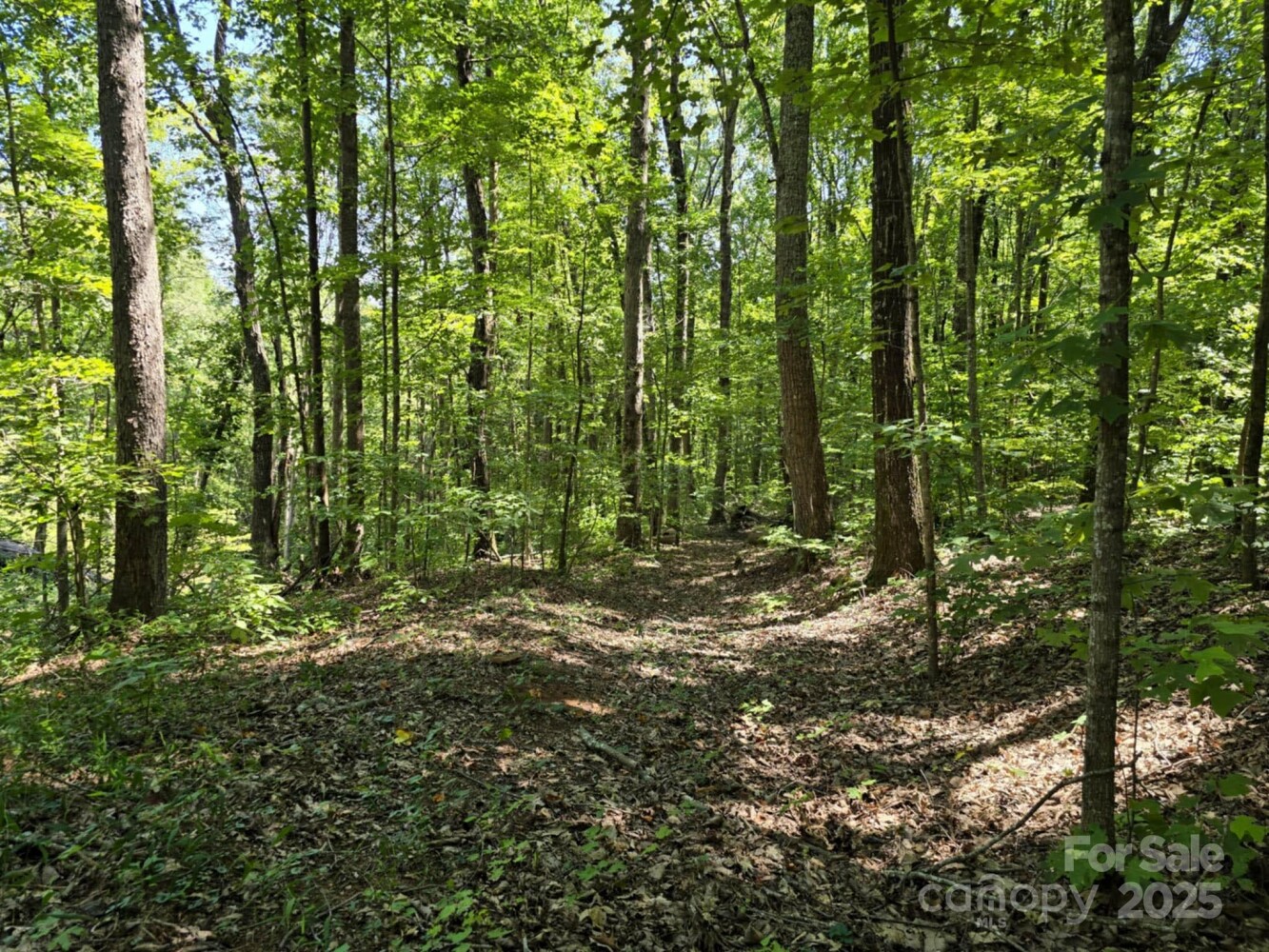 Land for Sale in Rutherford County, NC (17 of 29)