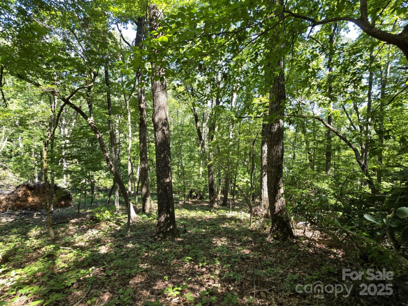 Land for Sale in Rutherford County, NC (18 of 29)