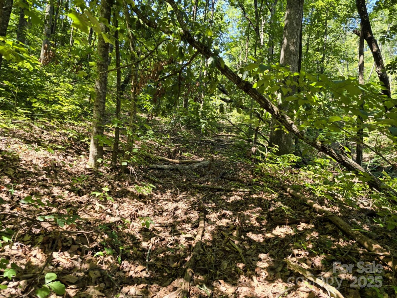 Land for Sale in Rutherford County, NC (19 of 29)