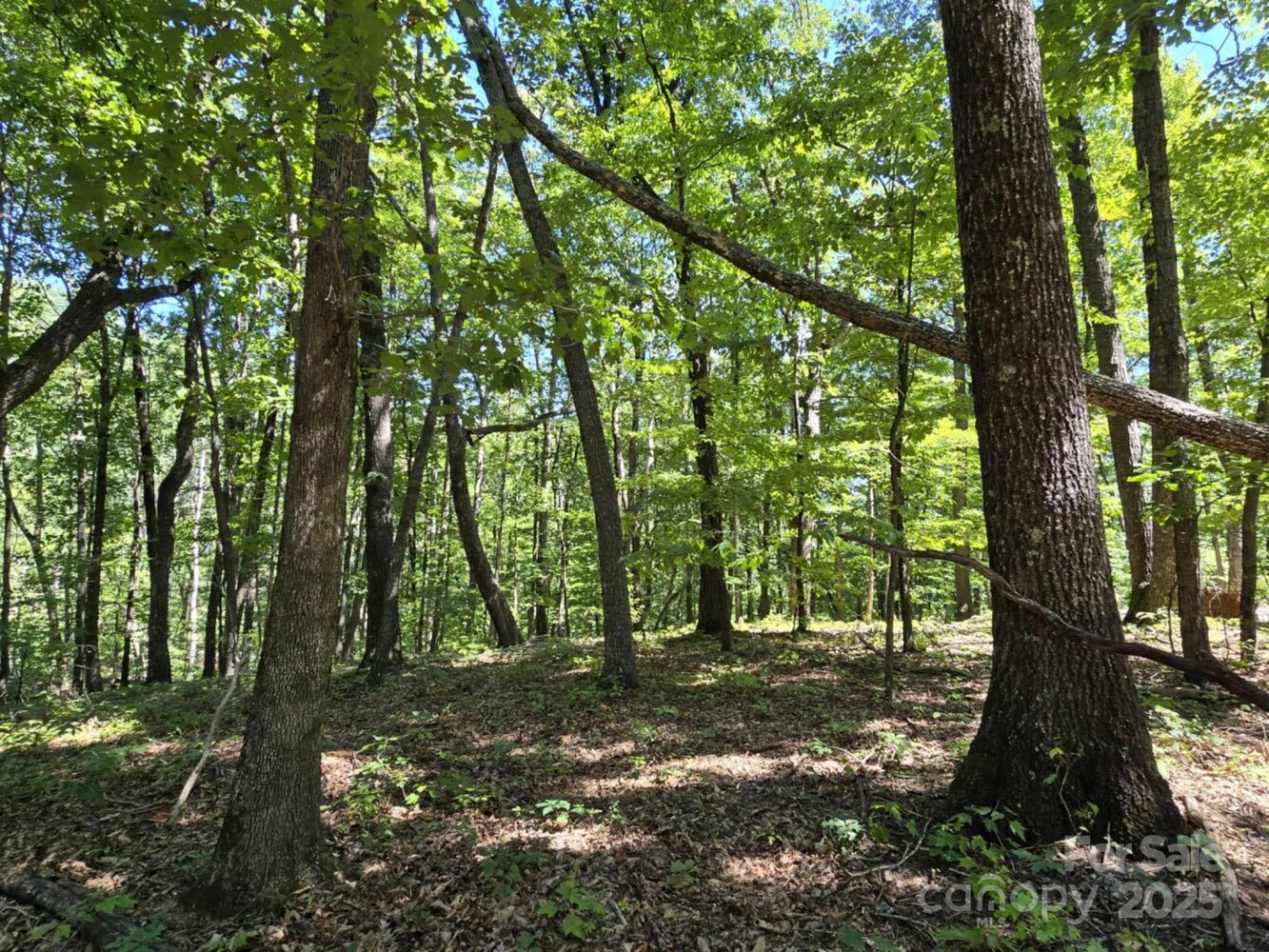 Land for Sale in Rutherford County, NC (20 of 29)