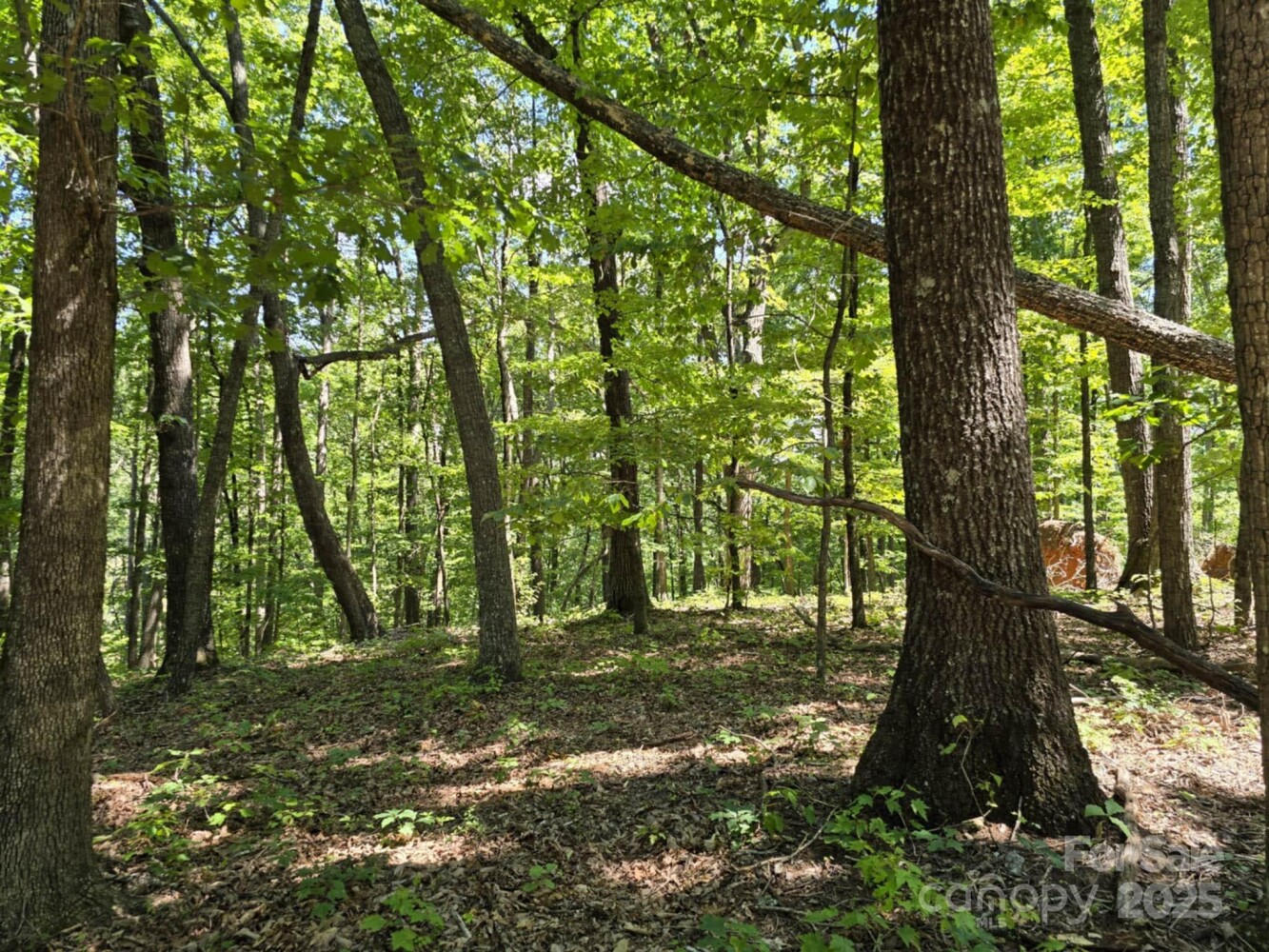 Land for Sale in Rutherford County, NC (21 of 29)