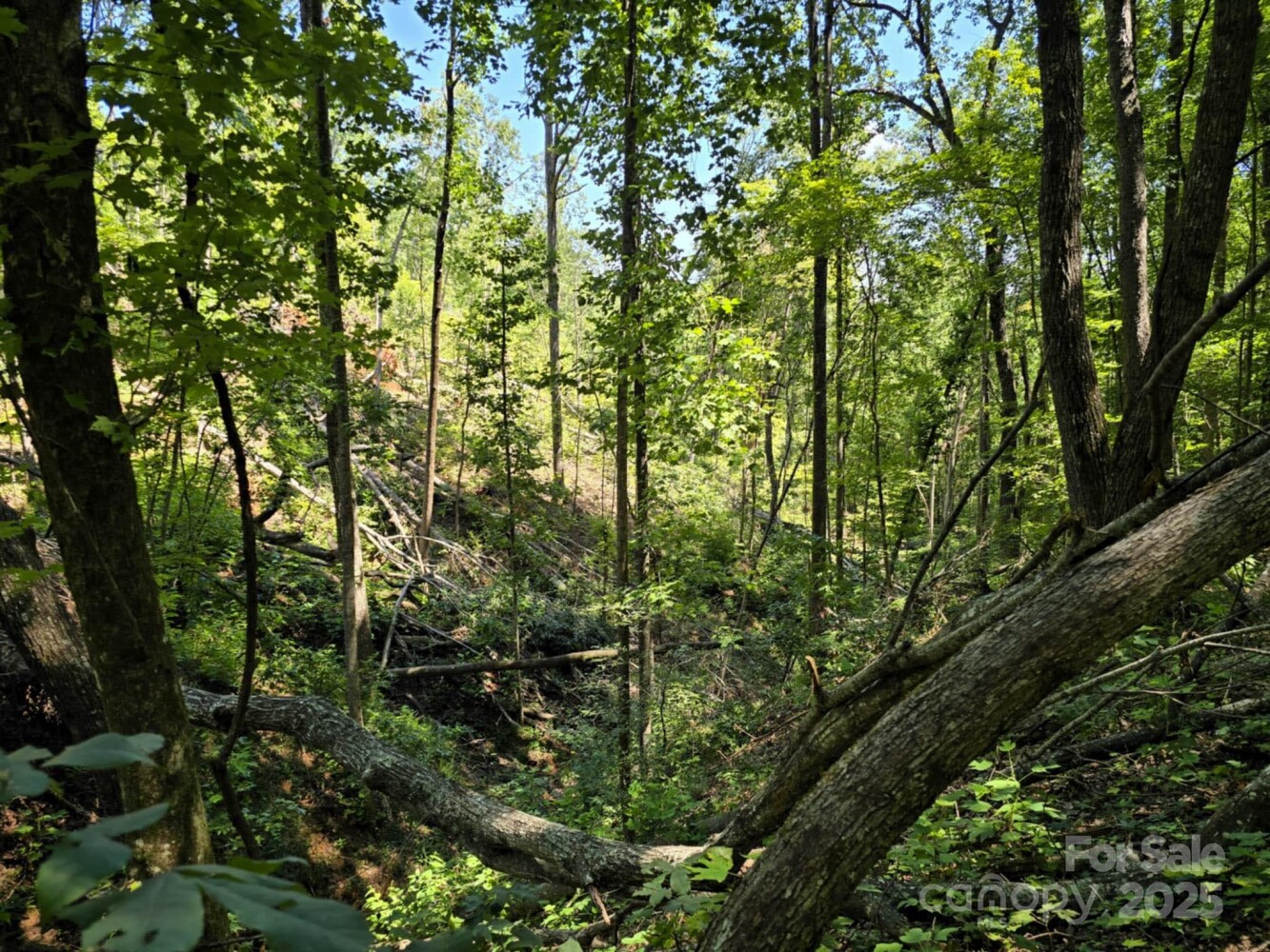 Land for Sale in Rutherford County, NC (23 of 29)