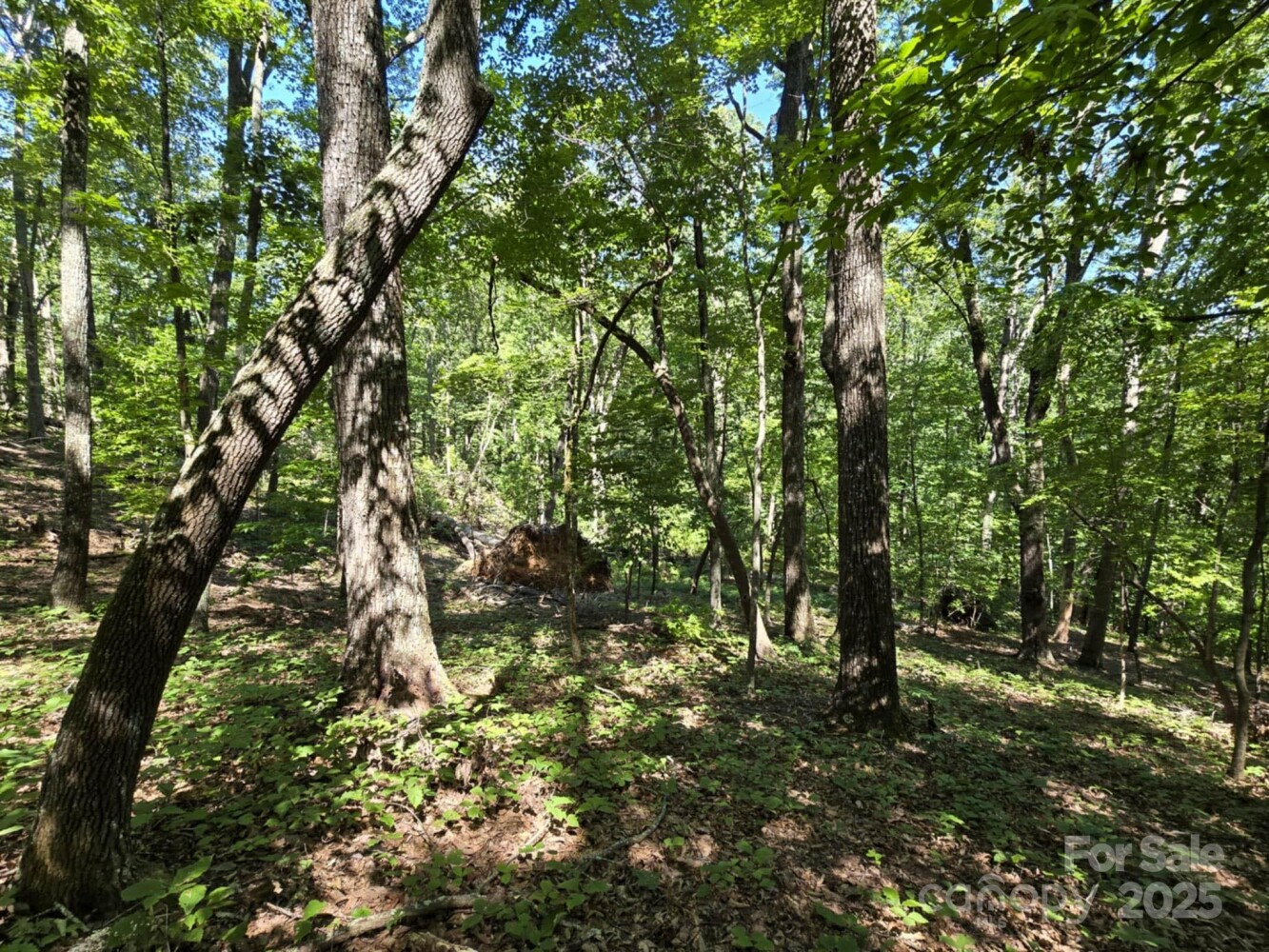 Land for Sale in Rutherford County, NC (26 of 29)