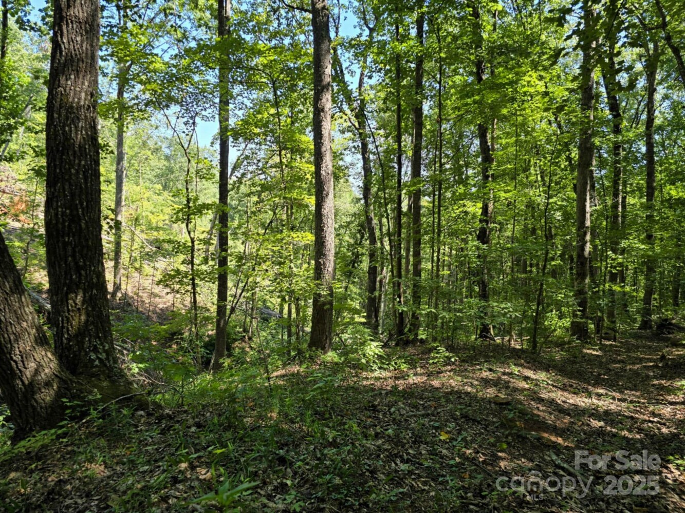 Land for Sale in Rutherford County, NC (27 of 29)