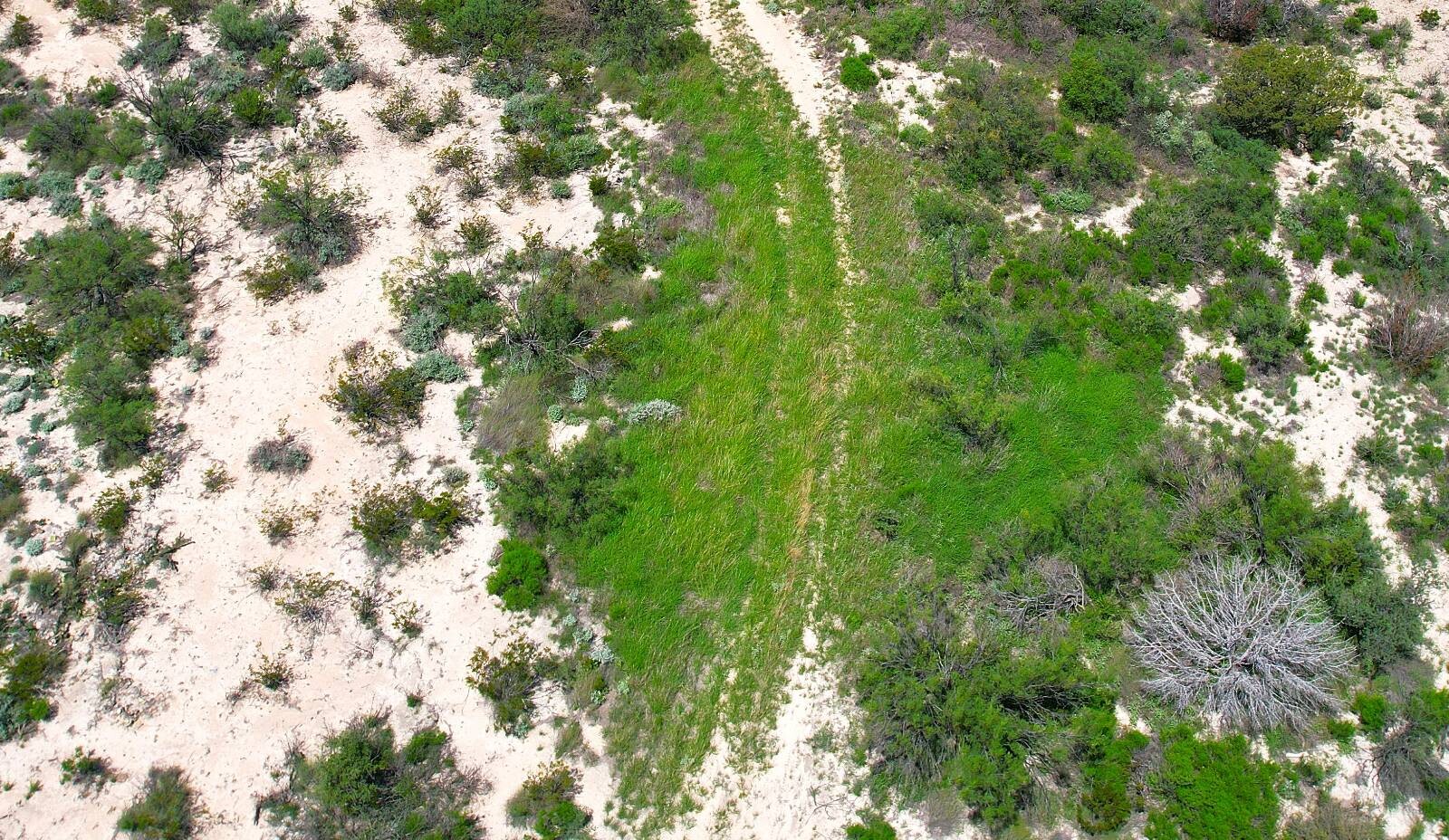 Land for Sale in Val Verde County, TX (22 of 34)