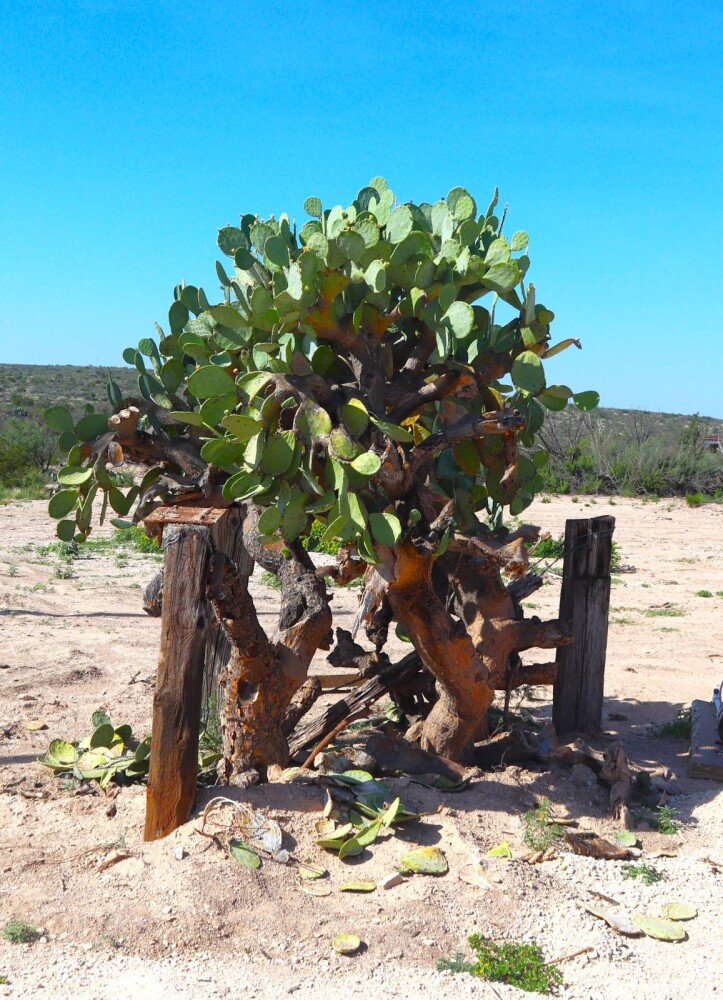 Land for Sale in Val Verde County, TX (26 of 34)