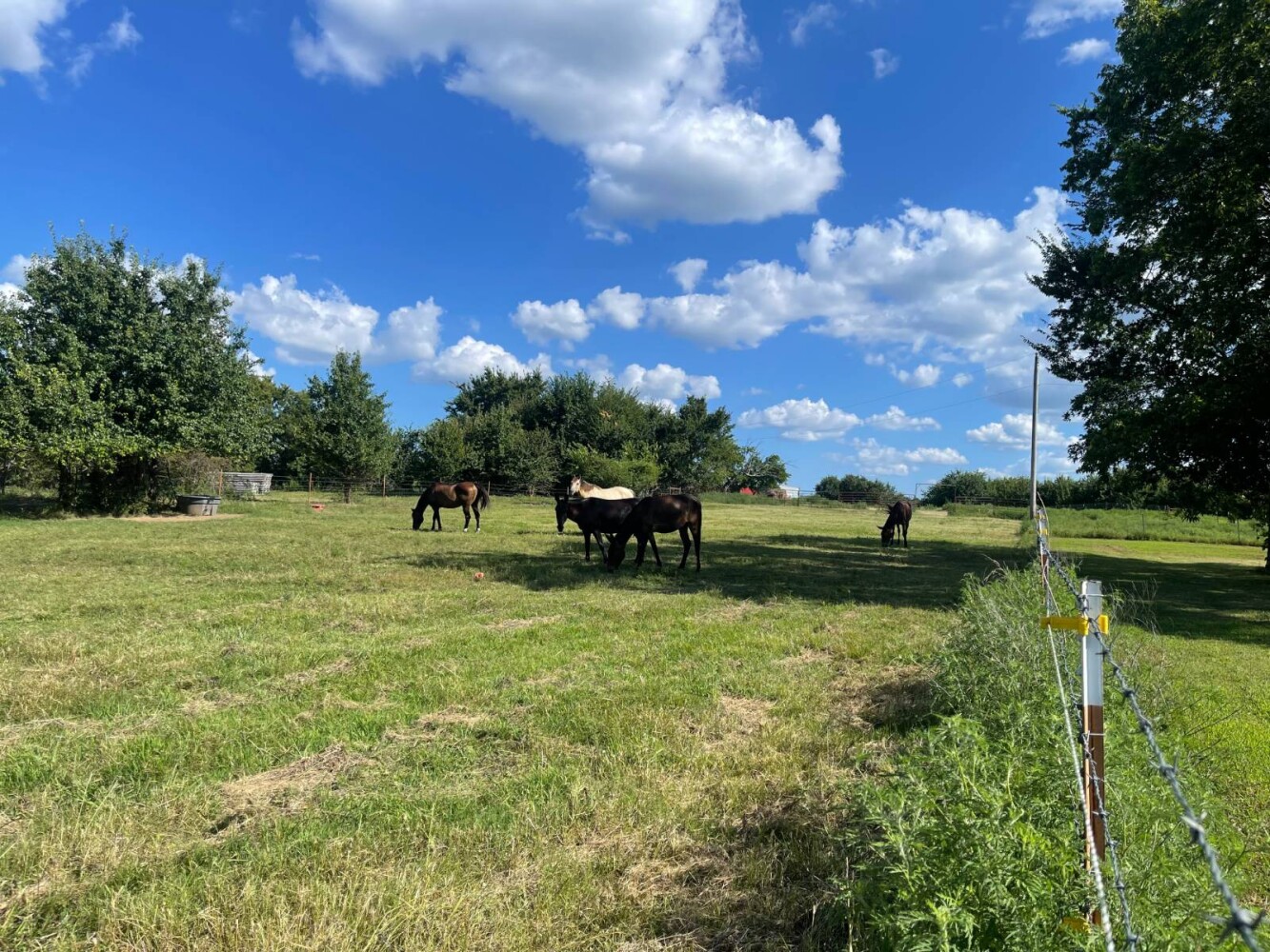 Land for Sale in Haskell County, OK (17 of 72)