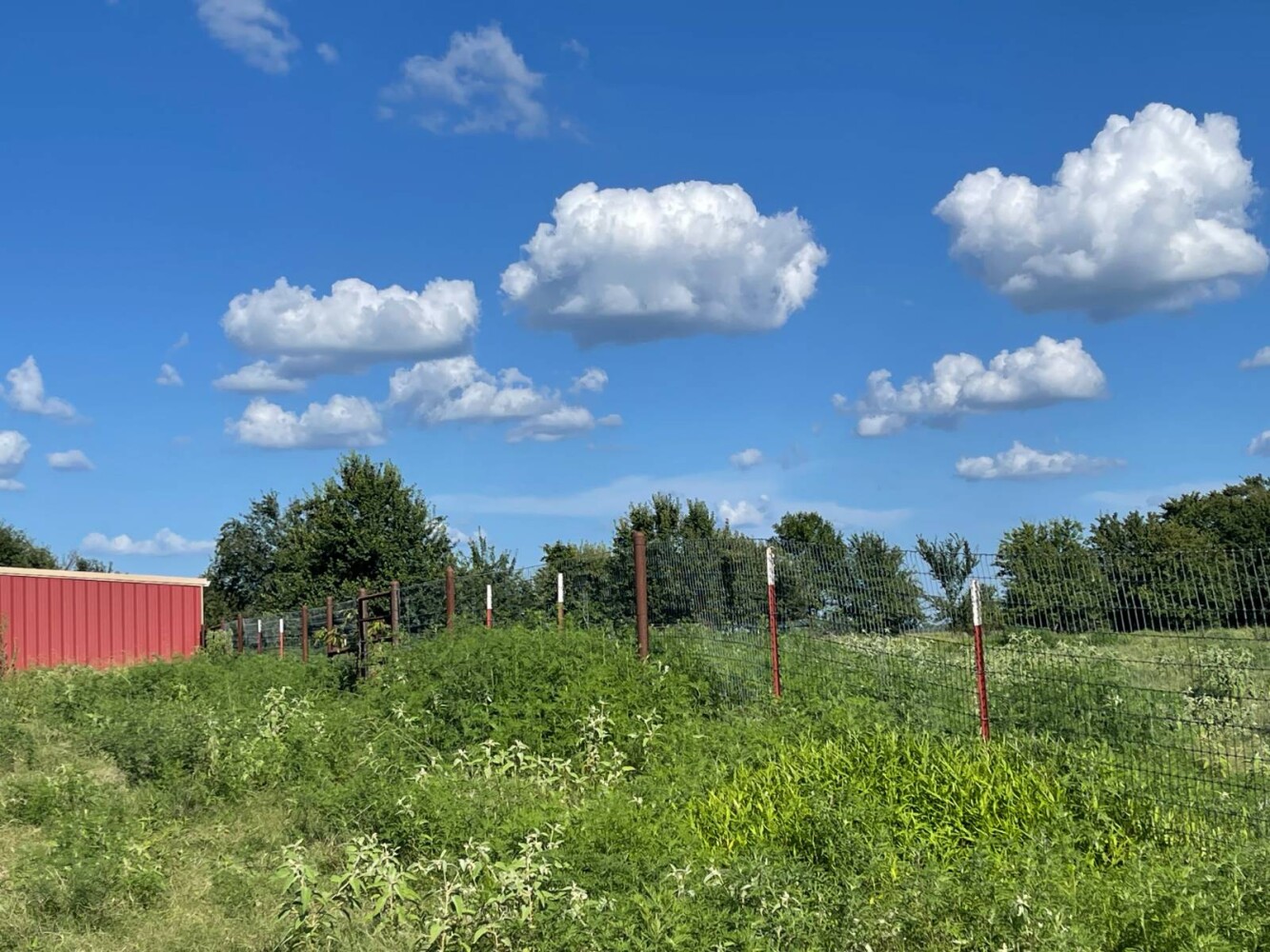 Land for Sale in Haskell County, OK (22 of 72)