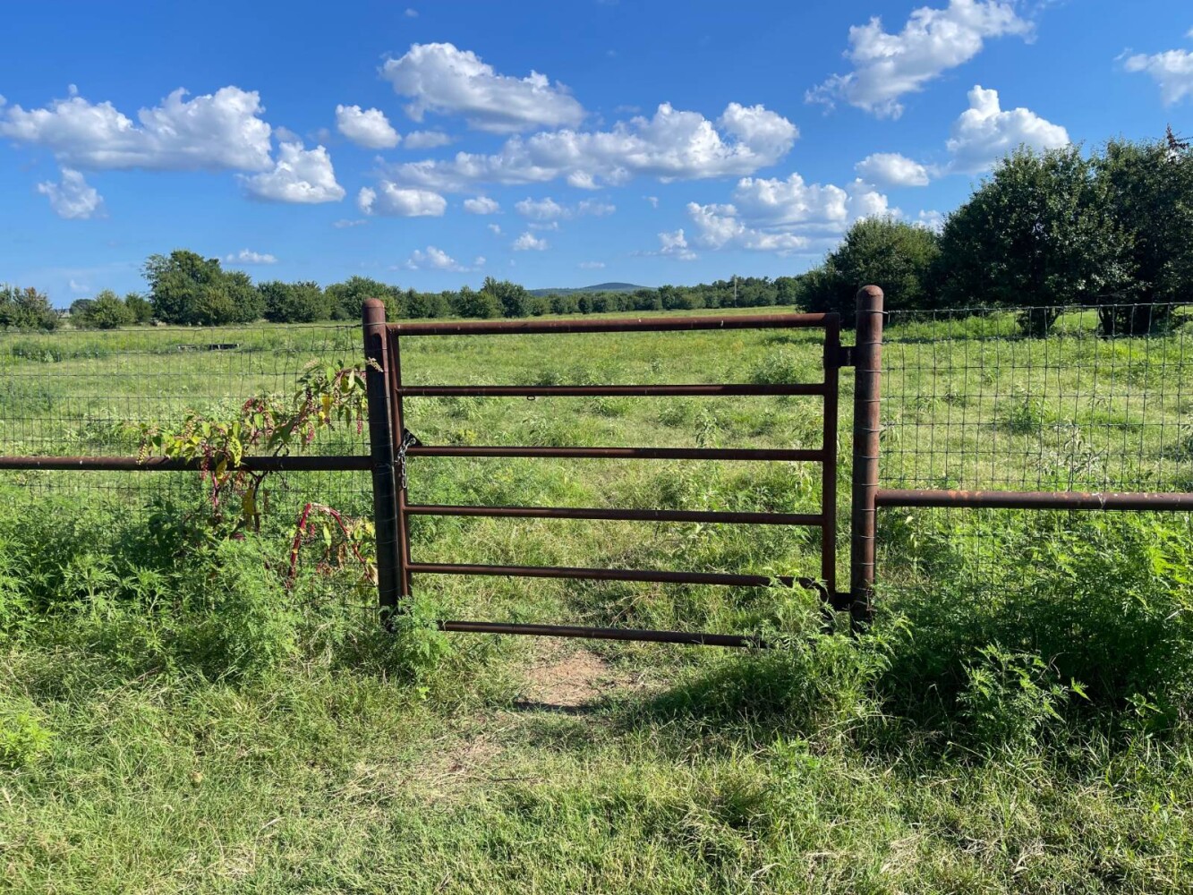 Land for Sale in Haskell County, OK (23 of 72)