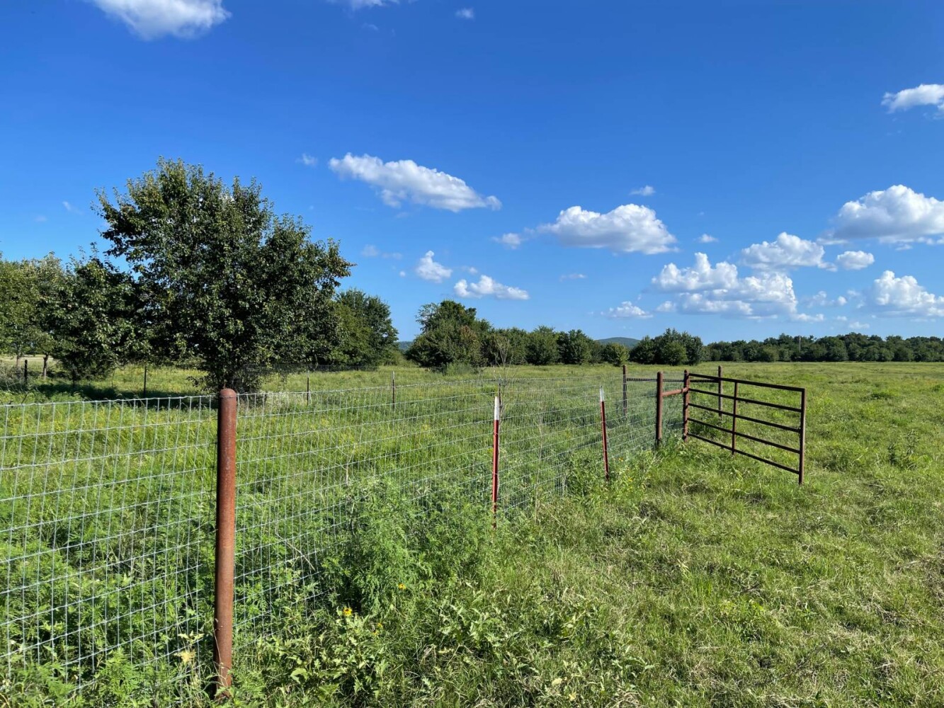 Land for Sale in Haskell County, OK (34 of 72)